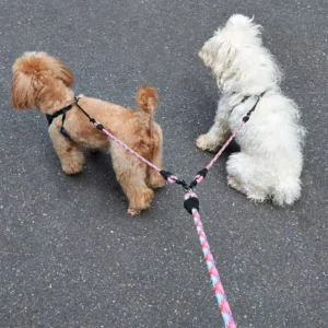Cross-Border Durable Nylon/Polyester Adjustable Dual Handle Outdoor Dog Walking Pet Leash