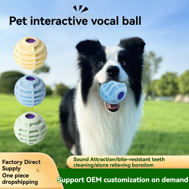 Cross Border Pet Squeak Toy Food Grade Silicone Sound Ball Interactive Sound Interactive Boredom Relief for Cats