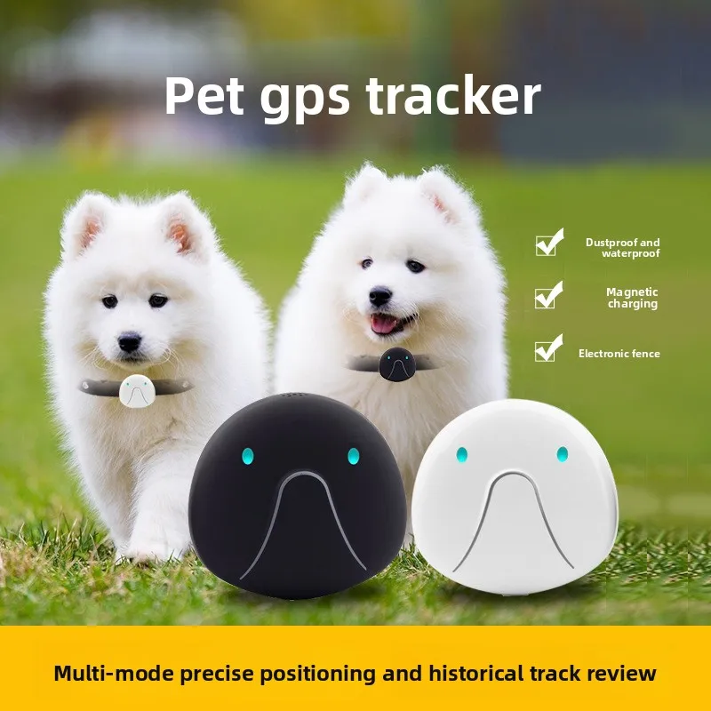 Cross border 4G GPS Pet Locator WiFi Positioning Dog Cat Smart Tracker Anti lost IP67 Waterproof Magnetic Charging GPRS LBS
