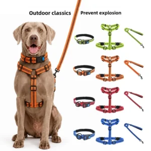 Cross border New Luminous Non slip H style Polyester Pet Dog Harness and Leash Set