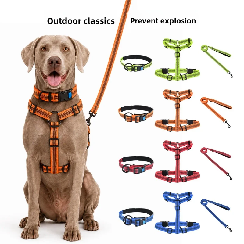 Cross border New Luminous Non slip H style Polyester Pet Dog Harness and Leash Set