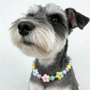 Cross border Pet Products Macaron color Cute cat Necklaces Flower design Charm Dog Collars Adjustable Size