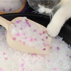 Crystal Cat Litter Fast Clumping Low Dust Non Stick White Silica Gel Odor Control Highly Adsorbent Irregular Shape All age 2.5kg