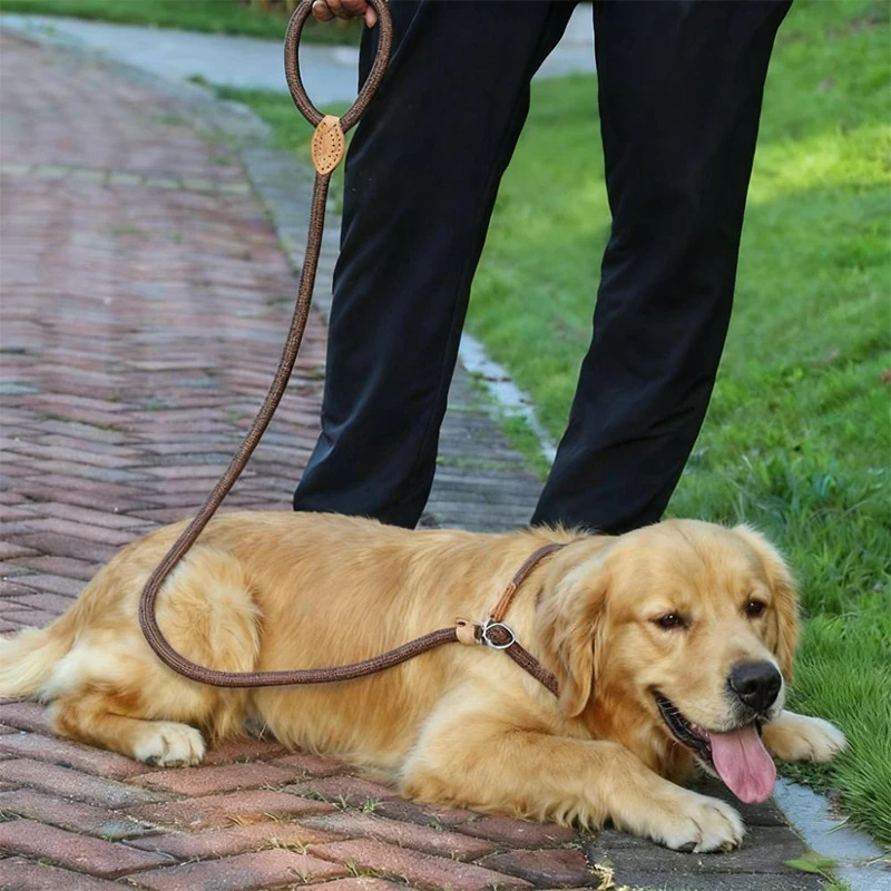Custom 10mm Chain Dog Leash Climbing Rope Pet Leash Different Sizes