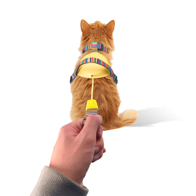 Custom Adjustable Dog Harness for Small Medium Dogs Manufacturer's Pet Supplies with Durable Pet Collars Leashes Harnesses