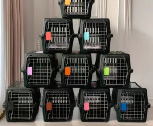 Custom Airline Approved Pet Carrier Crate With Wheels Large Dog Cat Plastic Travel Box