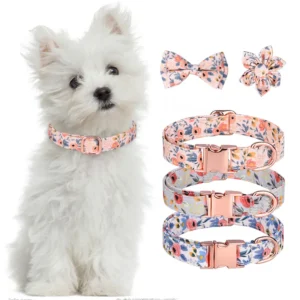 Custom Buckle Dog Collar Leash Set for Dogs Cats Nylon Reflective Quick Release Adjustable Metal Custom Pattern Bandana Pet
