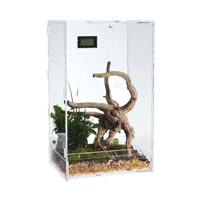 Custom Clear Acrylic Reptile Habitat Enclosure Transparent Terrarium Latch Modern Design for Amphibians Invertebrates