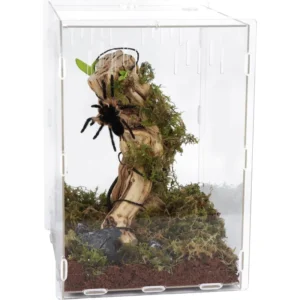 Custom Clear Reptile Terrarium Aquarium Breeding Tank Acrylic Tarantula Spider Enclosure Feeding Box Insect Habitat for Lizard