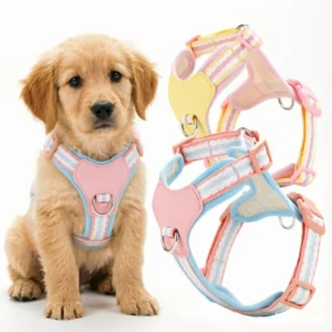 Custom Designer Adjustable Dog Vest XS Dog Harness for Small Dogs