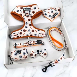 Custom Designer Neoprene Dog Harness No Pull Adjustable Pet Harness Leash Collar Set Manufacturer