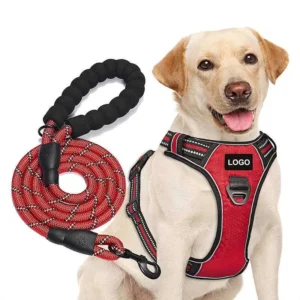 Custom Dog Accessories Leash and Harness Collar Designer Custom No Pull Pet Dog Harness Set Dog Pet Harness