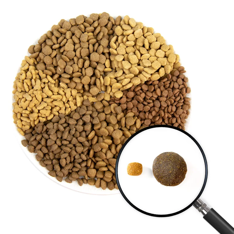 Custom Dog Food Factory Popular Fresh Healthy Natural Dry Pet Dog Food