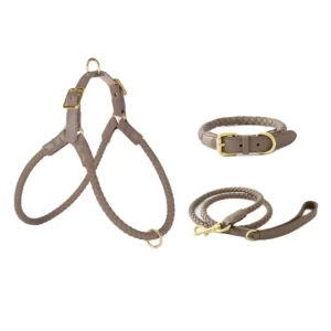 Custom Dog Harness and Collar with Adjustable Leash Sets for Outdoor Pet Hiking