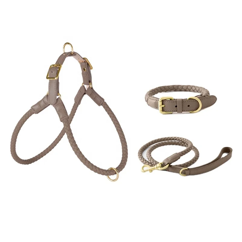 Custom Dog Harness and Collar with Adjustable Leash Sets for Outdoor Pet Hiking