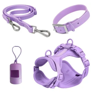 Custom Dogs Harness Neoprene Dog Harness Set Personalized Pet Collar and Leash Pet Supplies