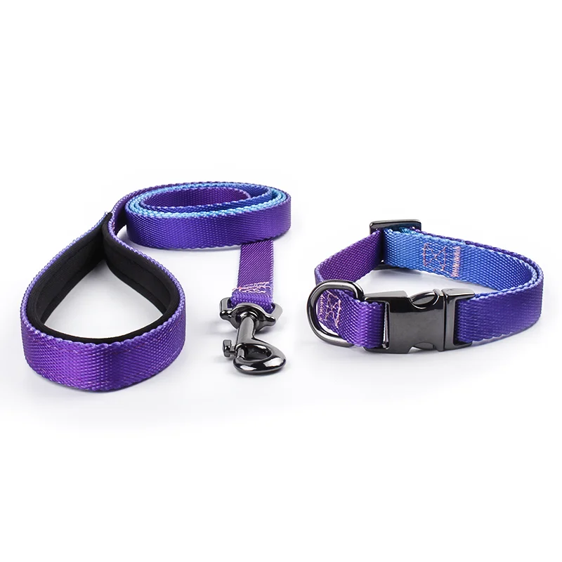 Custom Fashion Dog Collar Leash Ribbons Classic Polyester Rope Reflective Strip Personalized Print Pattern Premium Pet Webbing