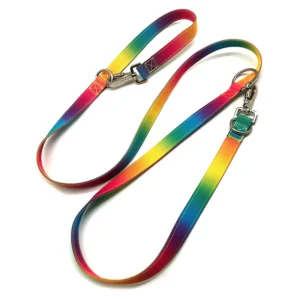 Custom Heavy Duty Rainbow Colors Hands-free Double Dog Leash for People With Multiple Pets