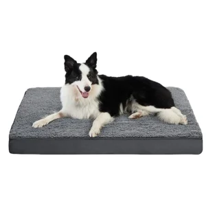 Custom High Density Memory Foam Pet Bed Washable Detachable Orthopedic Dog Bed Solid Square Shape Packaged in Carton