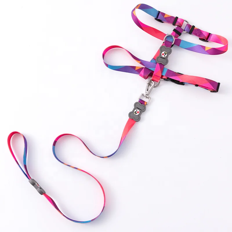 Custom High End Nylon Summer Training Set for Dogs Durable Private Label Dog Leash and Collars Dropshipping Pet Products