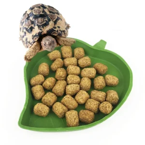Custom Logo Amphibians Reptiles Feeder Plastic Reptile Terrarium Feeding Basin Tortoise Lizard Crawler Bowl Bas