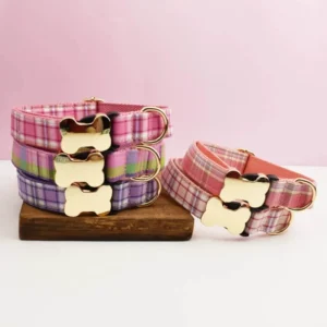 Custom Logo Durable Nylon Polyester Material Solid Animal Buckle for Cats Pet Dog Collar