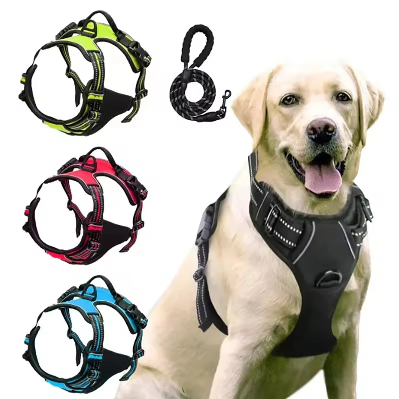 Custom Logo Luxury Durable Adjustable Comfortable Reflective Retractable Plastic Leash Ribbons for Small Dogs No Pull Design