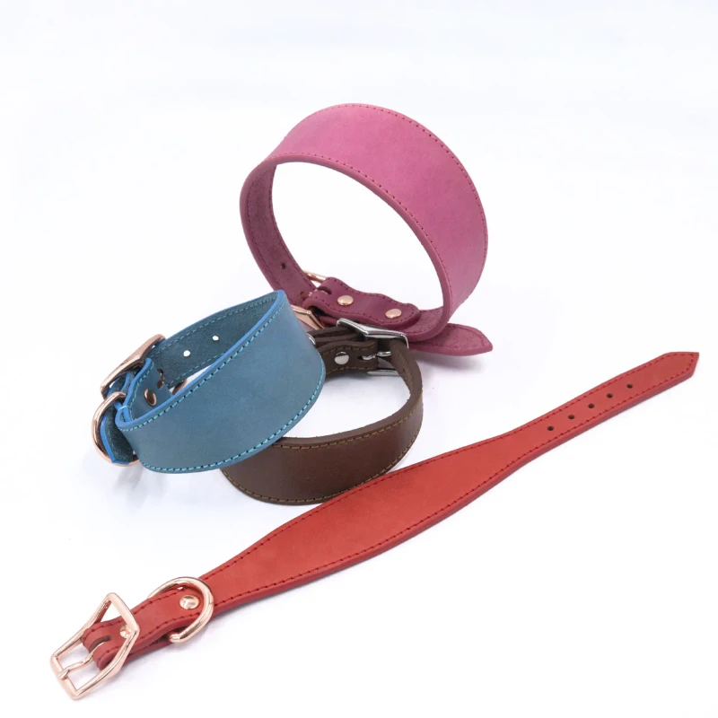 Custom Logo Personalized Luxury Stylish Adjustable Collar for Small to Medium Breeds