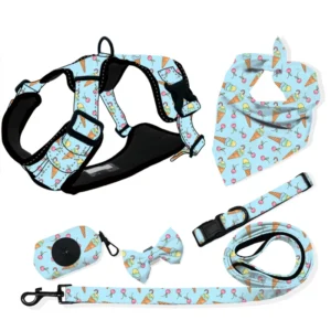 Custom Logo Personalized No Pull Adjustable Designer Dog Harness Leash Set Soft Webbing Pet Collar Accessory Polyester Simple