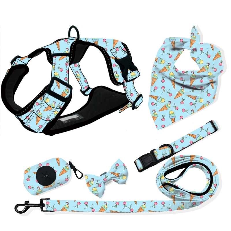 Custom Logo Personalized No Pull Adjustable Designer Dog Harness Leash Set Soft Webbing Pet Collar Accessory Polyester Simple