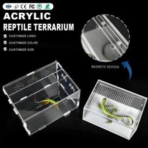 Custom Logo Size Clear Reptile Terrarium Tarantula Display Box Acrylic Pet Reptile Breeding Enclosure