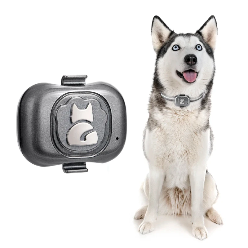 Custom Logo Waterproof Mini Pet Smart GPS Tracker with Free Mobile APP and Pet Collar for Dog Cat Real Time Tracking