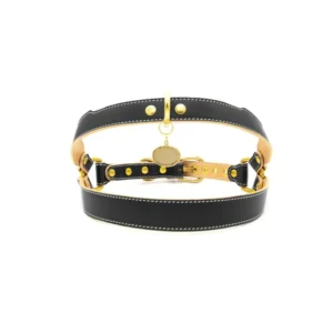 Custom Luxury Designer Genuine Leather Dog Harness Luxury Pet Harness Manufacturers’ Personalized Collection Including Other Pet