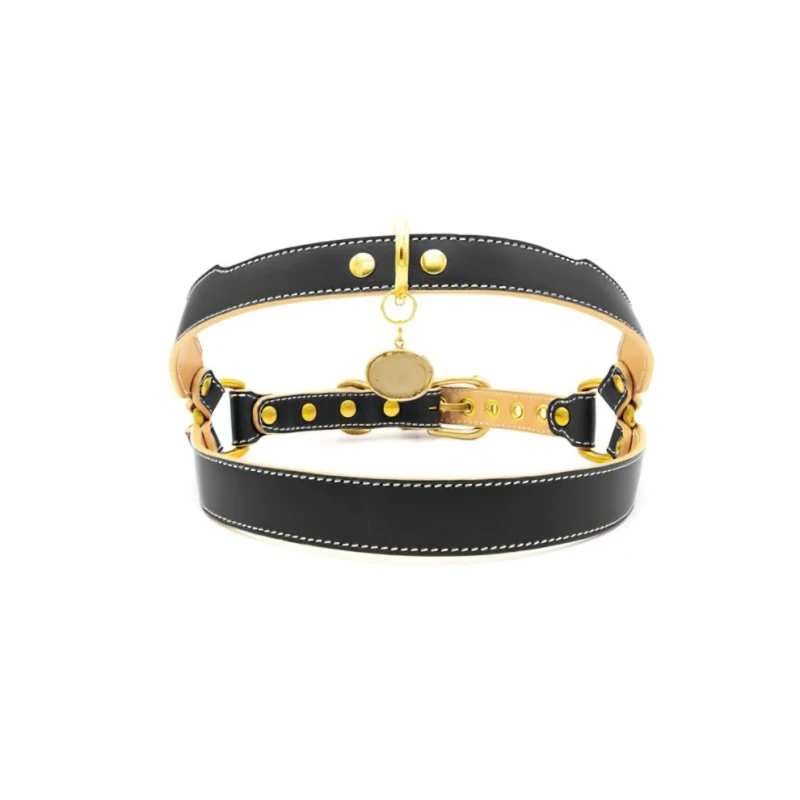 Custom Luxury Designer Genuine Leather Dog Harness Luxury Pet Harness Manufacturers' Personalized Collection Including Other Pet