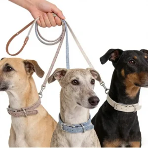 Custom Luxury Escape Proof Tactical Training Adjustable Leashes Collars Pet Harnesses For Small Large Dog