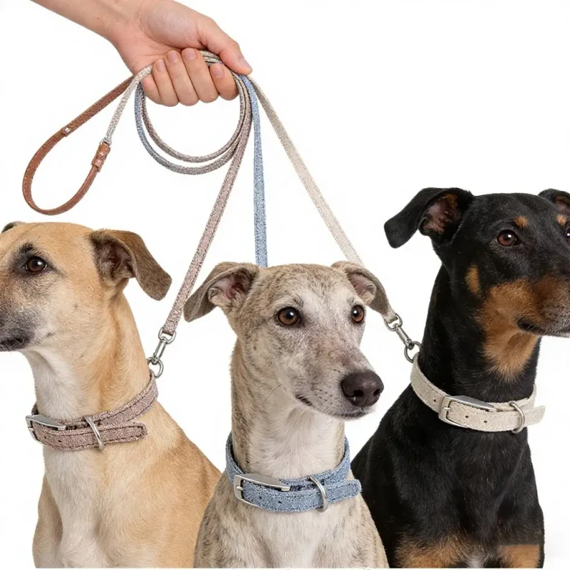 Custom Luxury Escape Proof Tactical Training Adjustable Leashes Collars Pet Harnesses For Small Large Dog
