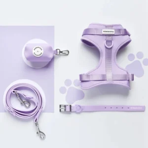 Custom Luxury Fully Adjustable Large PVC Waterproof Neoprene No Pull Pet Cat Dog Harness Leash Collar Set