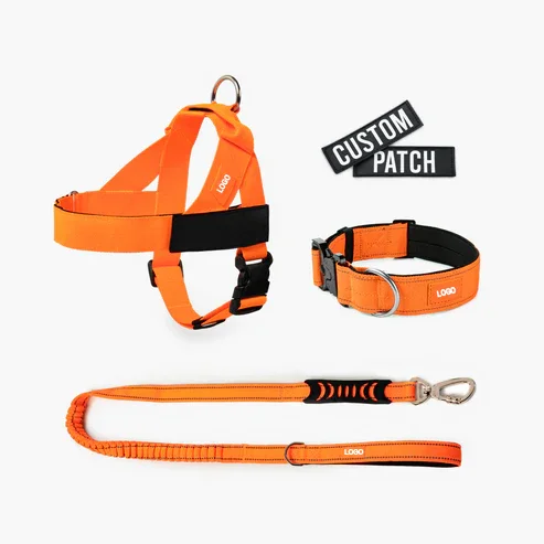 Custom Luxury Tactical Training Dog Harness Set Nylon Reflective Retractable Chain Personalized Pet Leash Pet Supplies