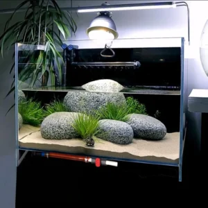 Custom Luxury Transparent Eco friendly Turtle Aquarium High Clear Glass Ultra Quiet Basking Platform