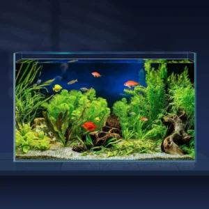 Custom Modern Acrylic Aquarium Tank Factory New Design for Home Garden Decoration Plastic Reef Aquatic Fish Tank