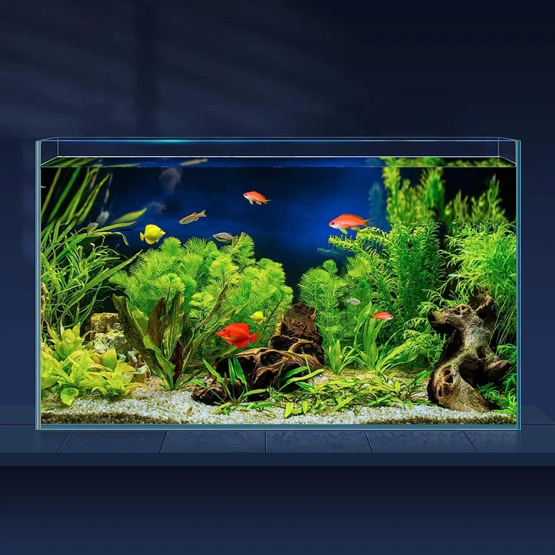 Custom Modern Acrylic Aquarium Tank Factory New Design for Home Garden Decoration Plastic Reef Aquatic Fish Tank