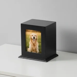 Custom Modern Solid Wood Pet Casket and Cremation Urn Memorial Keepsake for Dogs and Cats