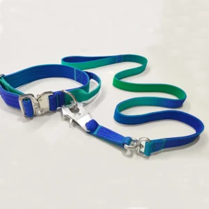 Custom Multi Color Nylon Tactical Dog Collar and Leash Set Lead Gradient Seven Colors Heavy Duty Dog Leash and Harness