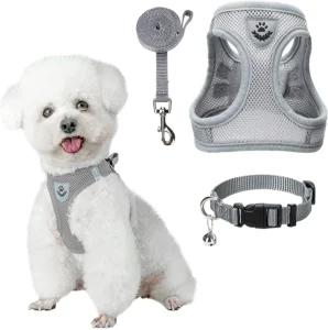 Custom New Design Small Medium Large Pet Collar Chest Supplies Reflective Vest Type Dog Harness and Leash Set
