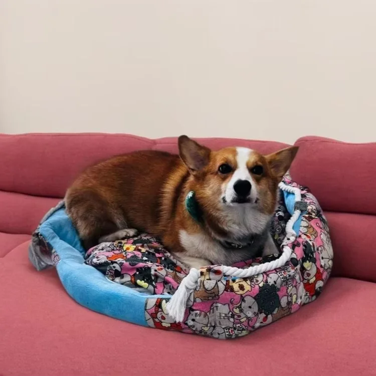 Custom New Pet Supplies Cat Dog Sofa Bed Popular Luxury Removable Cushion Pet Bed for Small Medium Large Animals
