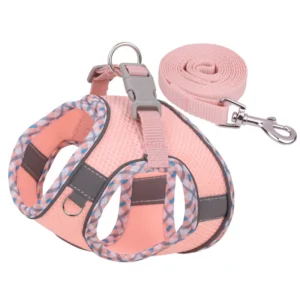 Custom No Pull Cute Dog Pet Harness Adjustable Control Vest, Dog Leash and Harness