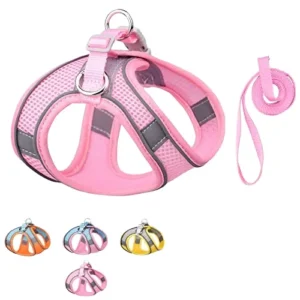 Custom No Pull Cute Dog Pet Harness Adjustable Control Vest dog Leash and Harness