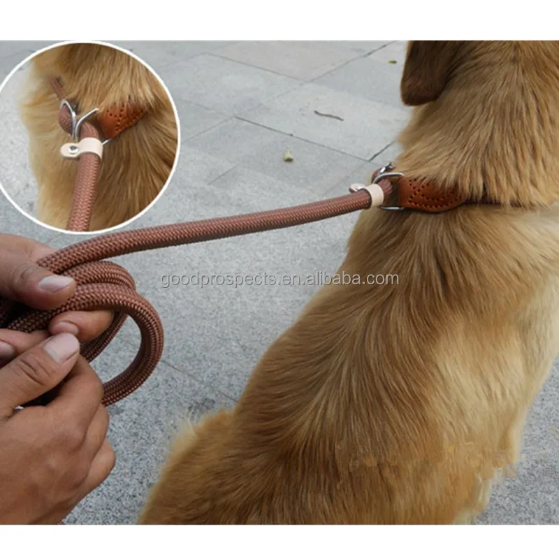 Custom Nylon Dog Leash 150-180cm Length for Dog Adjustable Buckle Pet Leash With Leather Multiple Color