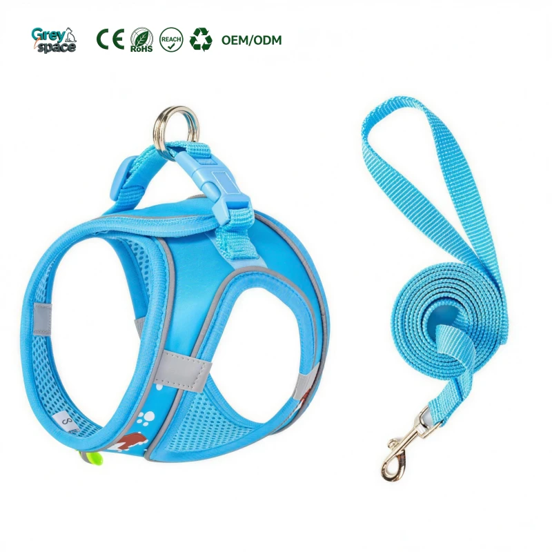 Custom OEM ODM Printed Reflective Mesh Dog Harness Set Adjustable Breathable Pet Leash for Small Puppy Daily Walking