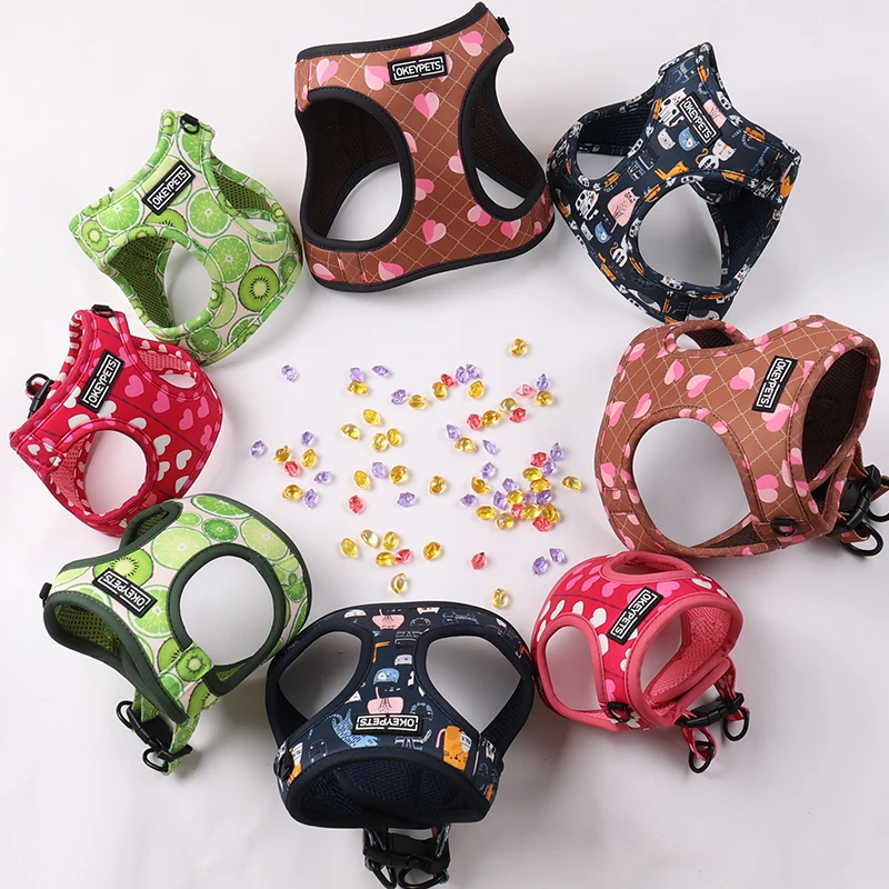 Custom One Step In Dog Harness OEM ODM Breathable Mesh Adjustable Printed Pet Harness with Logo for Small Dogs